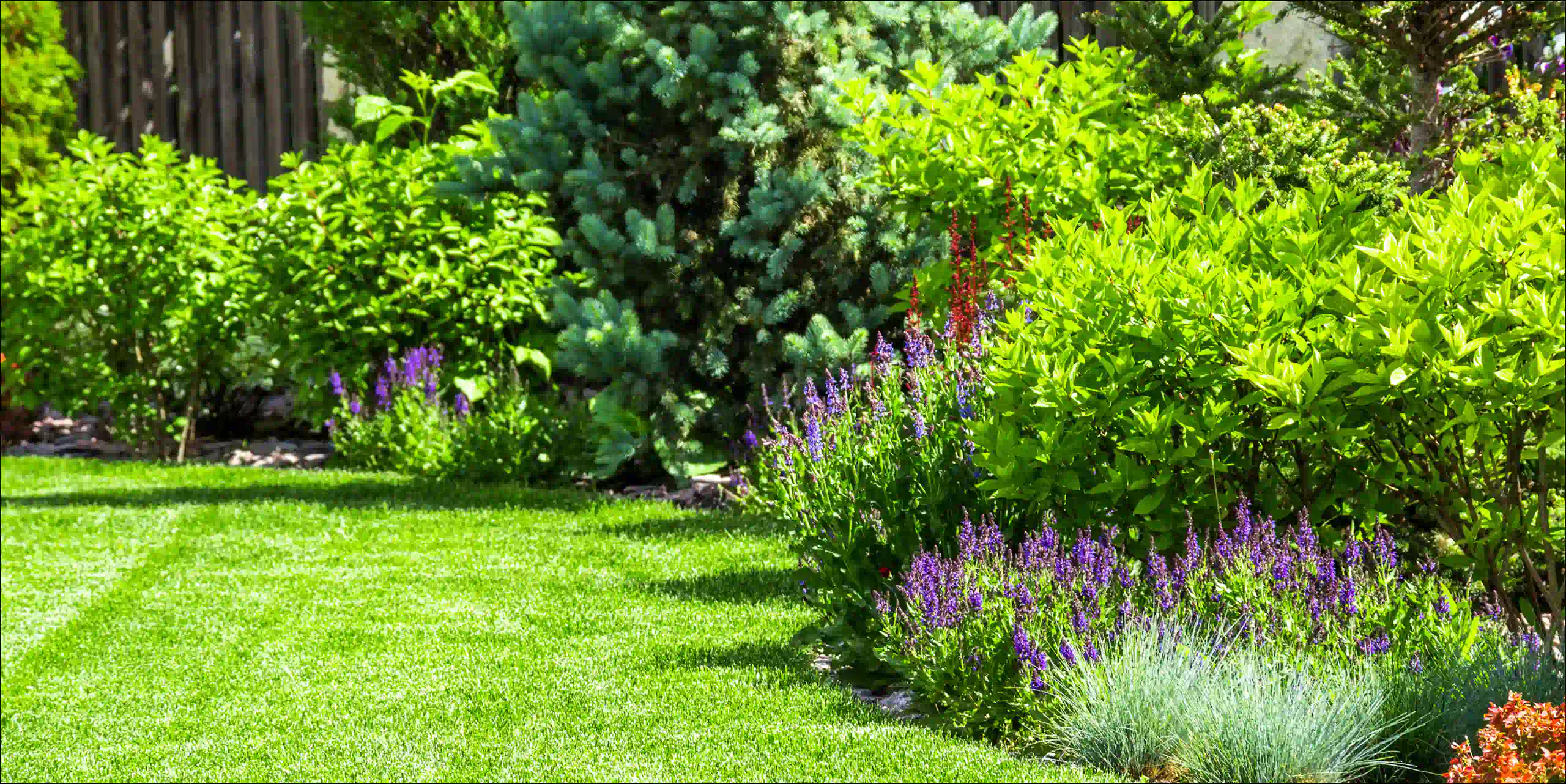 a garden and grass